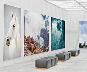 Contemporary wall canvases